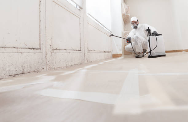 24/7 Emergency Basement Mold Remediation experts in Dublin, GA